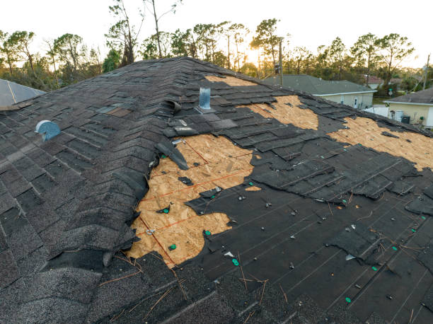 Best Rubber Roofing (EPDM, TPO)  in Grant Park, IL