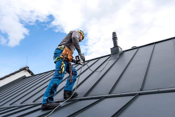 Best Gutter Installation and Repair  in Grant Park, IL